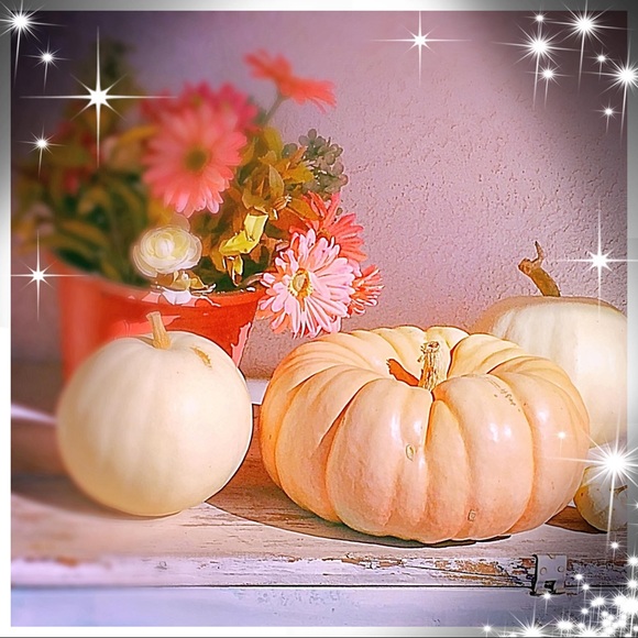 House to Home ~ Old and New ~ Decor and More - Picture 9 of 12